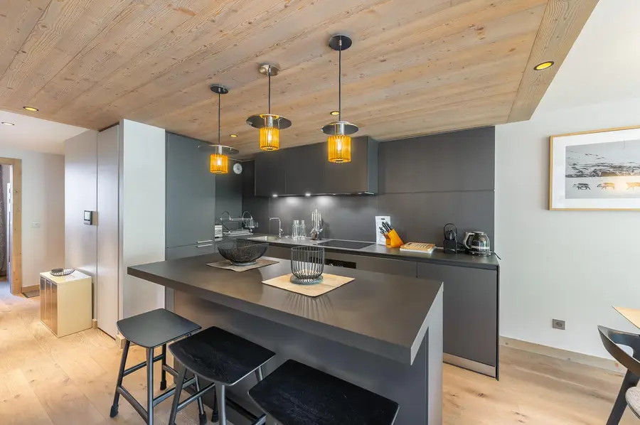 Phoenix 401 interior view 4