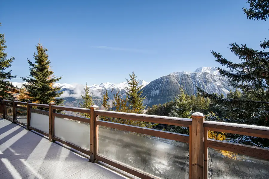 L'Ecureuil sur le toit - Luxury 3 bedroom chalet in Bellecôte